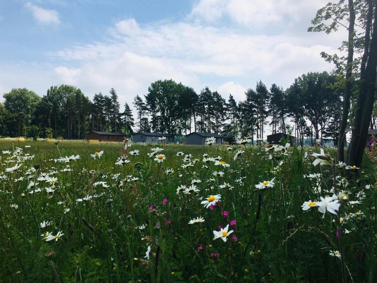Hollicarrs - Wildflower Lodge York Bagian luar foto