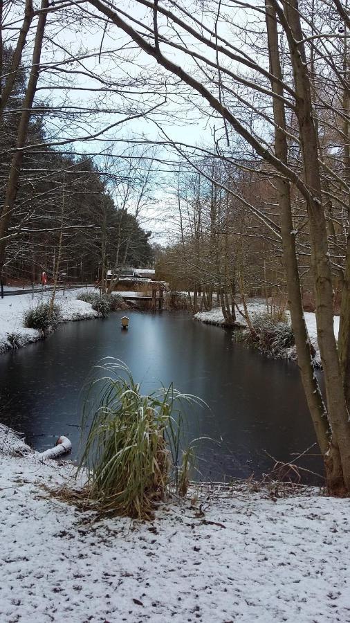 Hollicarrs - Wildflower Lodge York Bagian luar foto