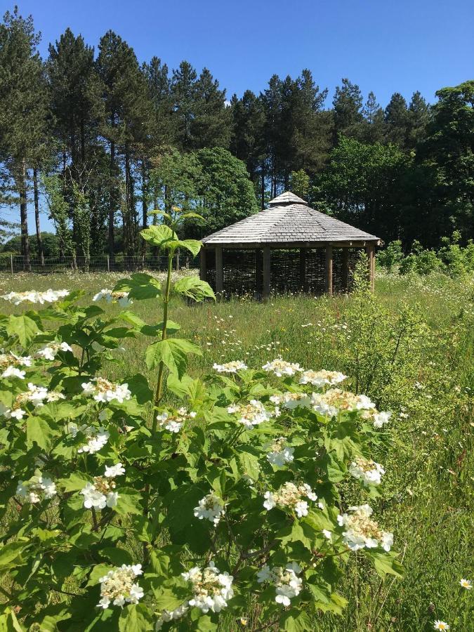 Hollicarrs - Wildflower Lodge York Bagian luar foto