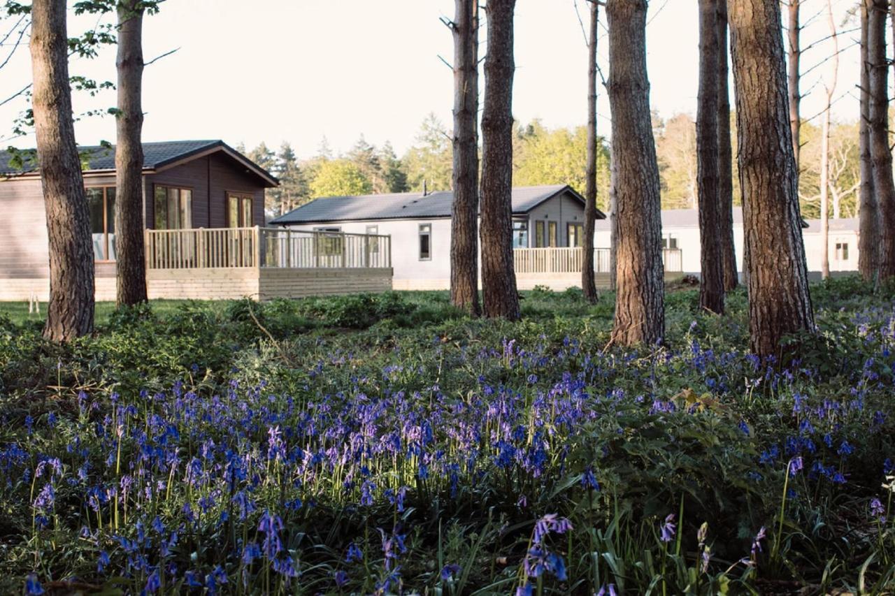 Hollicarrs - Wildflower Lodge York Bagian luar foto