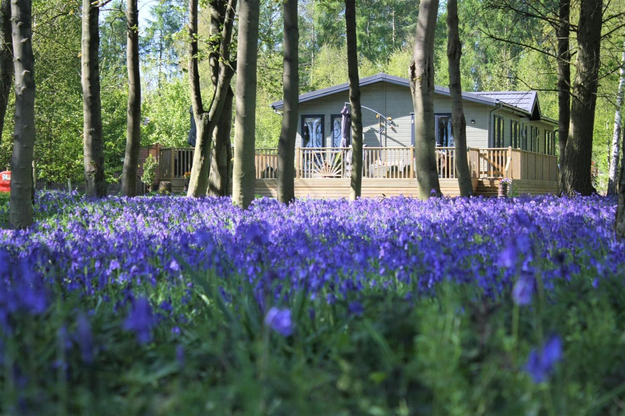 Hollicarrs - Wildflower Lodge York Bagian luar foto