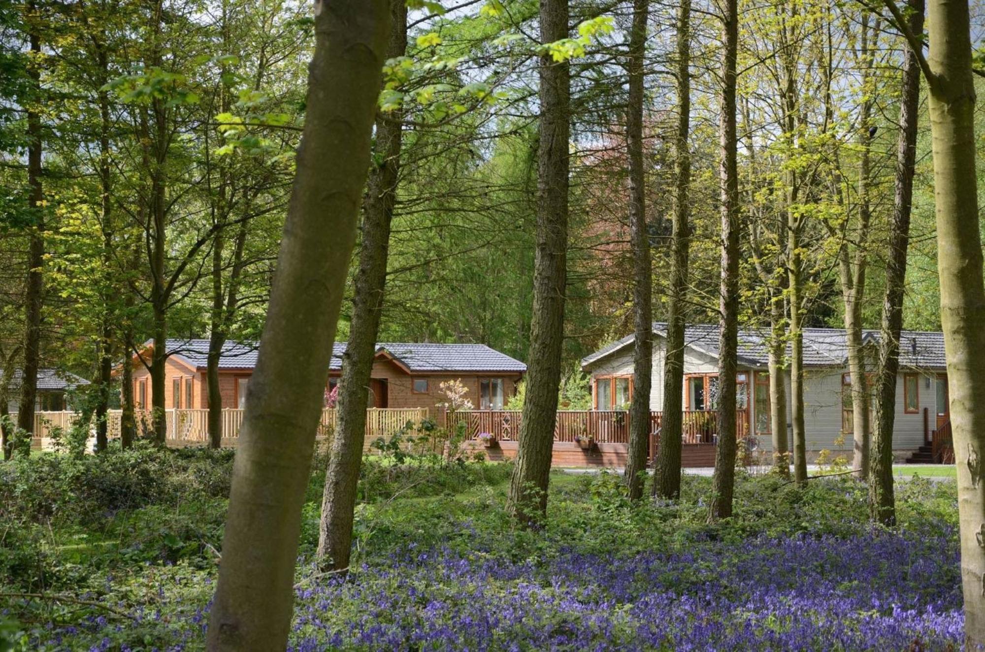 Hollicarrs - Wildflower Lodge York Bagian luar foto