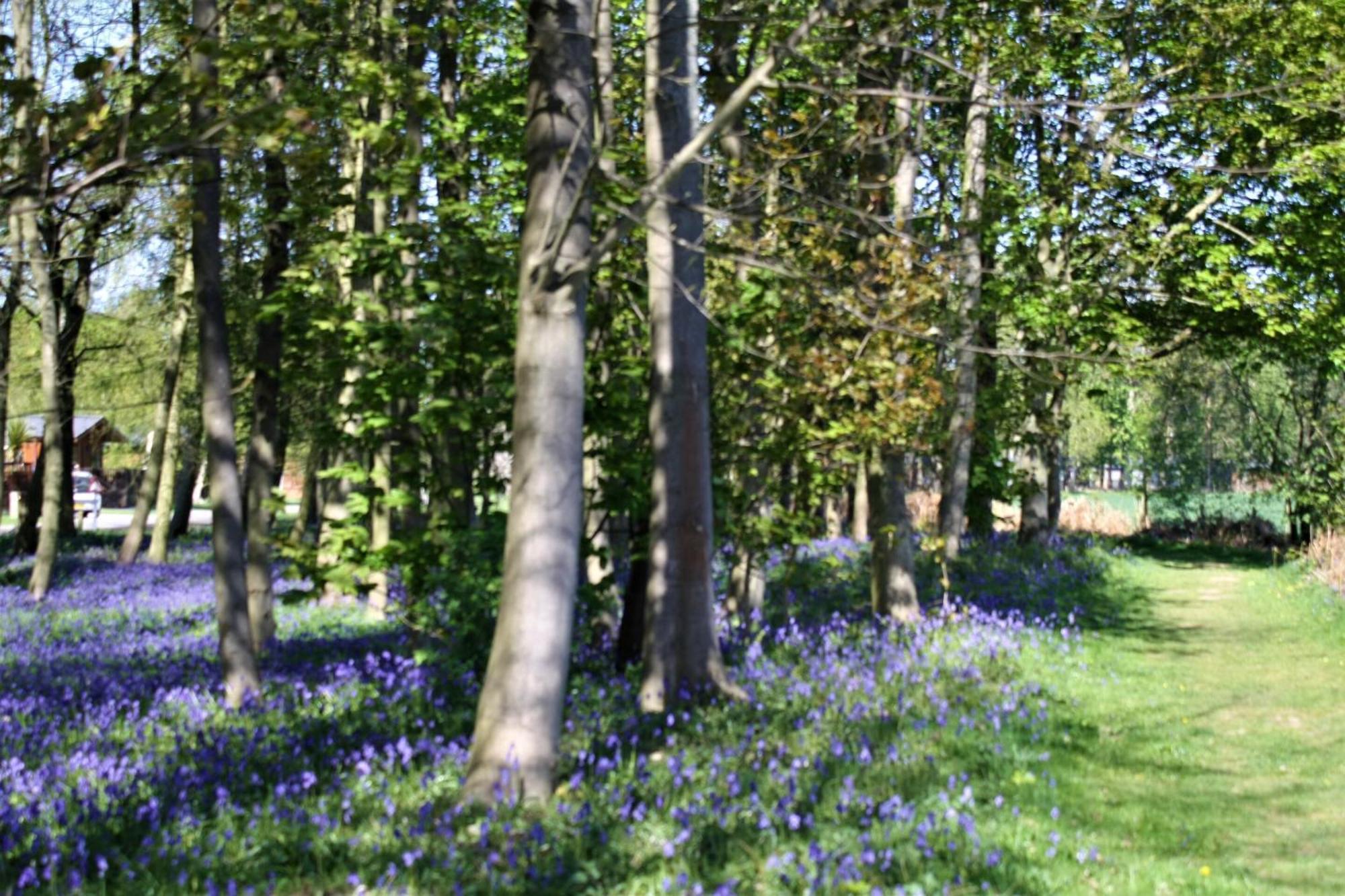Hollicarrs - Wildflower Lodge York Bagian luar foto